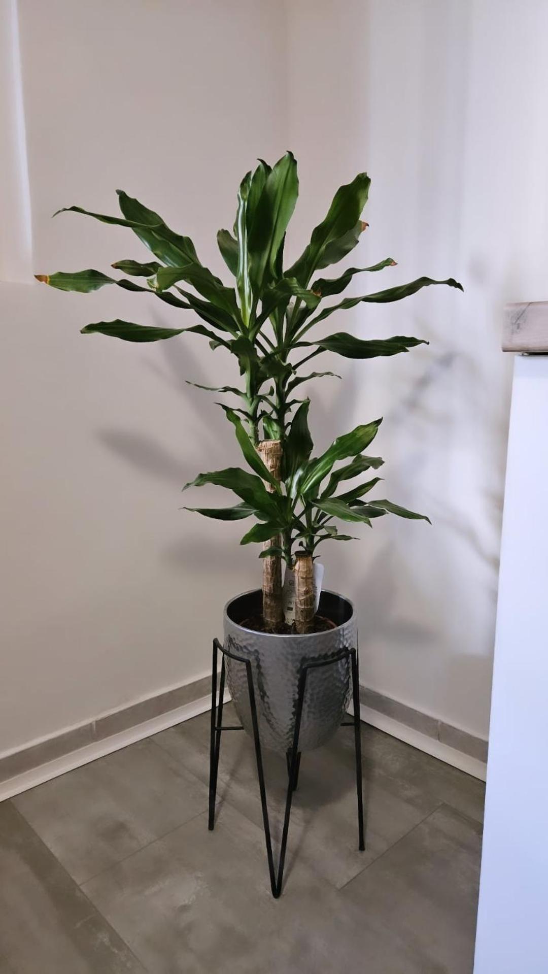 Apartment Gago Split Zewnętrze zdjęcie